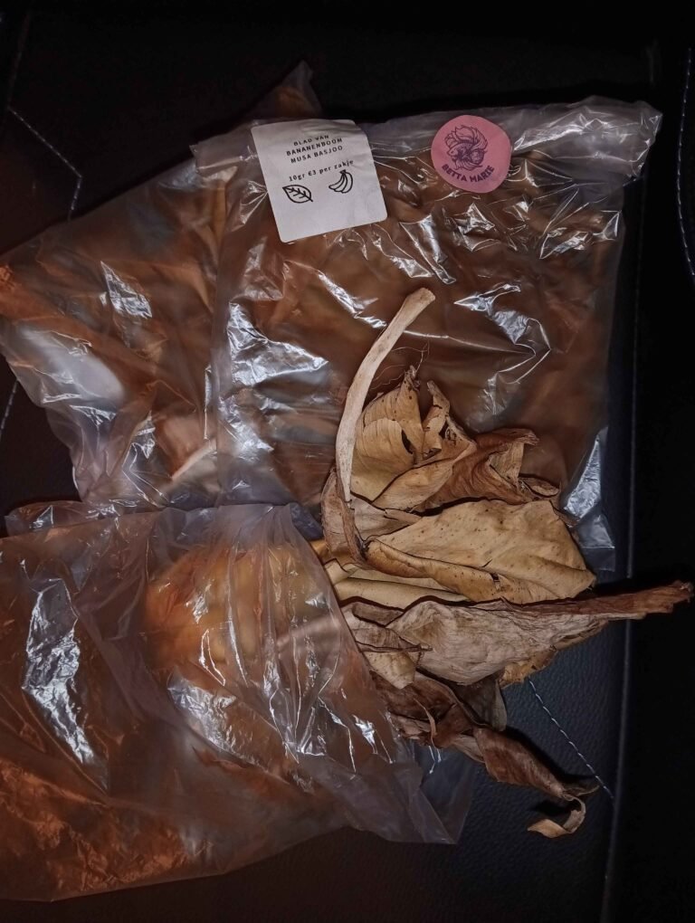 img 20251020 191446804