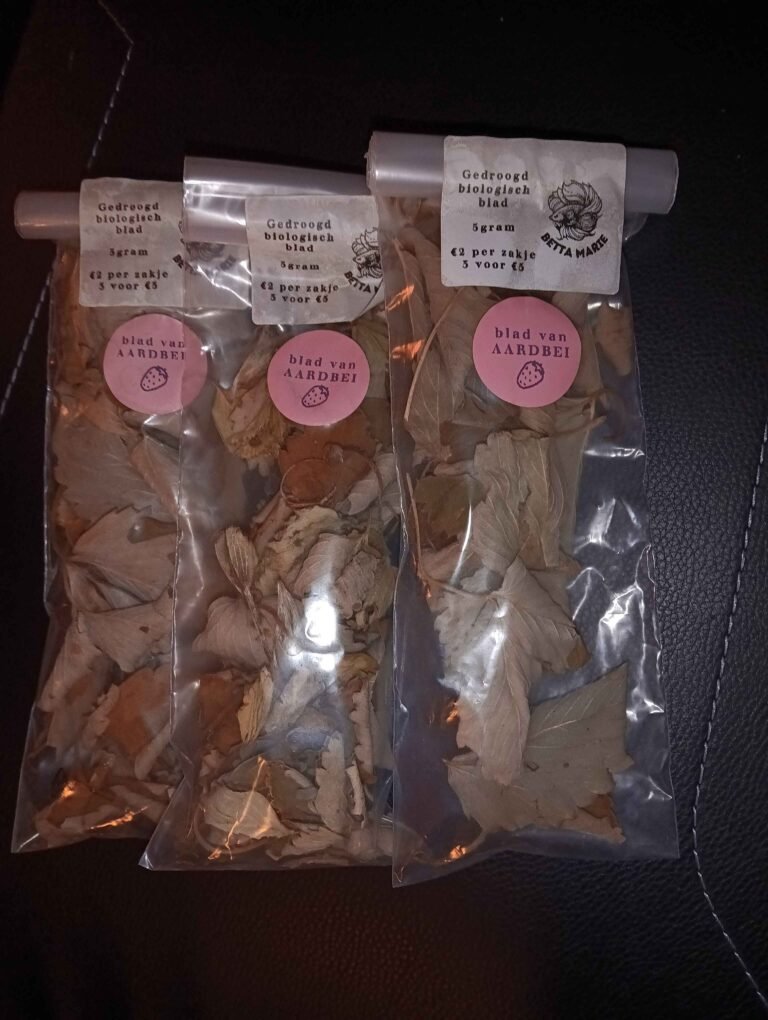 img 20251020 191538049