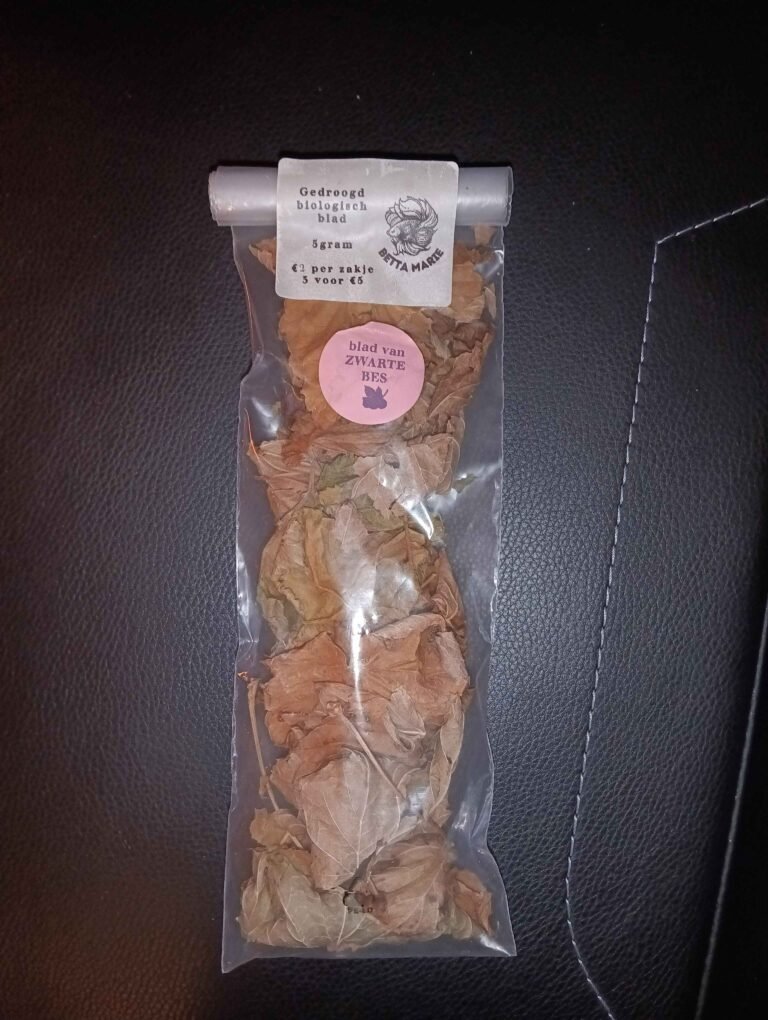 img 20251020 191620680