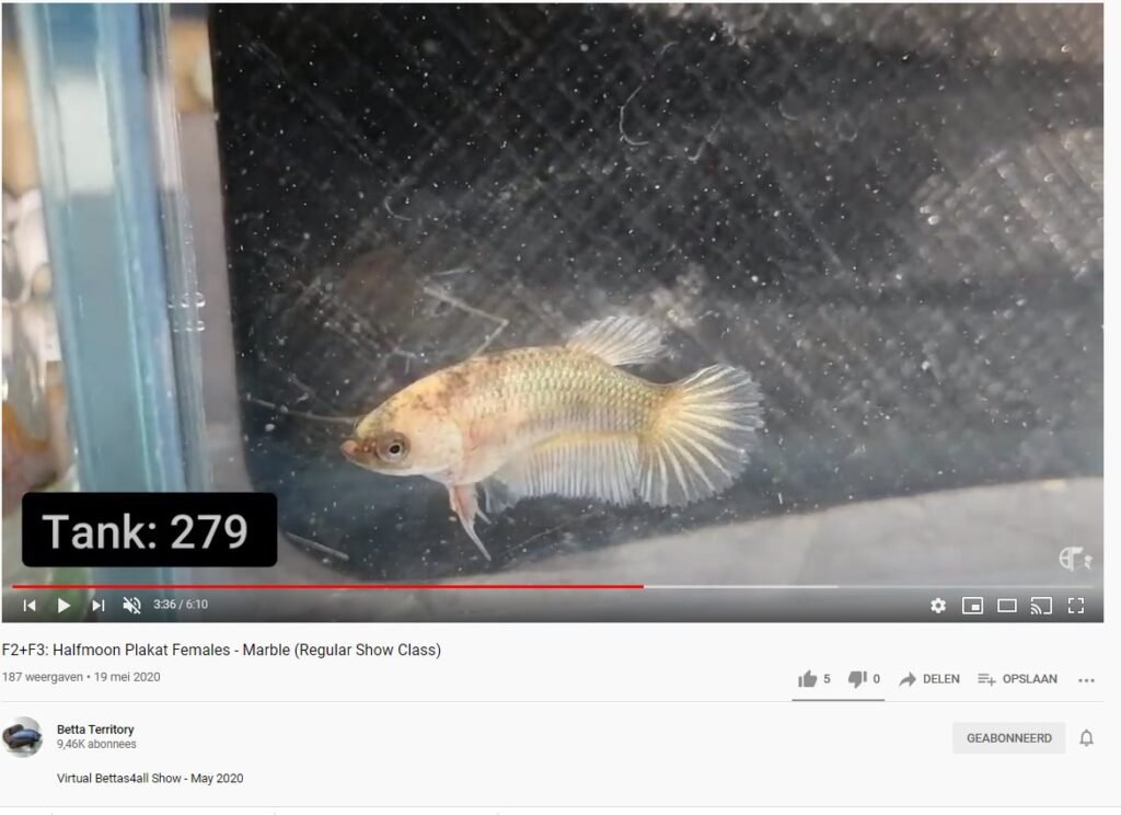 152973323 102592325218371 1275466338191922711 n