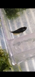 153332448 102596075217996 8476232820818224835 n