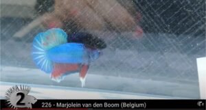 153506239 102561925221411 2437695565812822348 n (1)