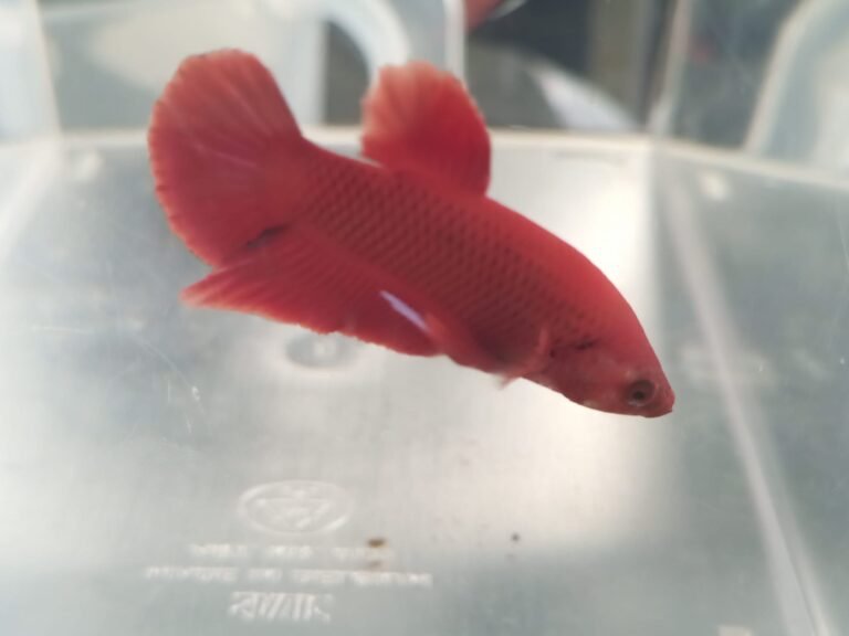 484859489 996472909219643 1520941347270564800 n