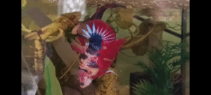 screenshot 20251106 200014