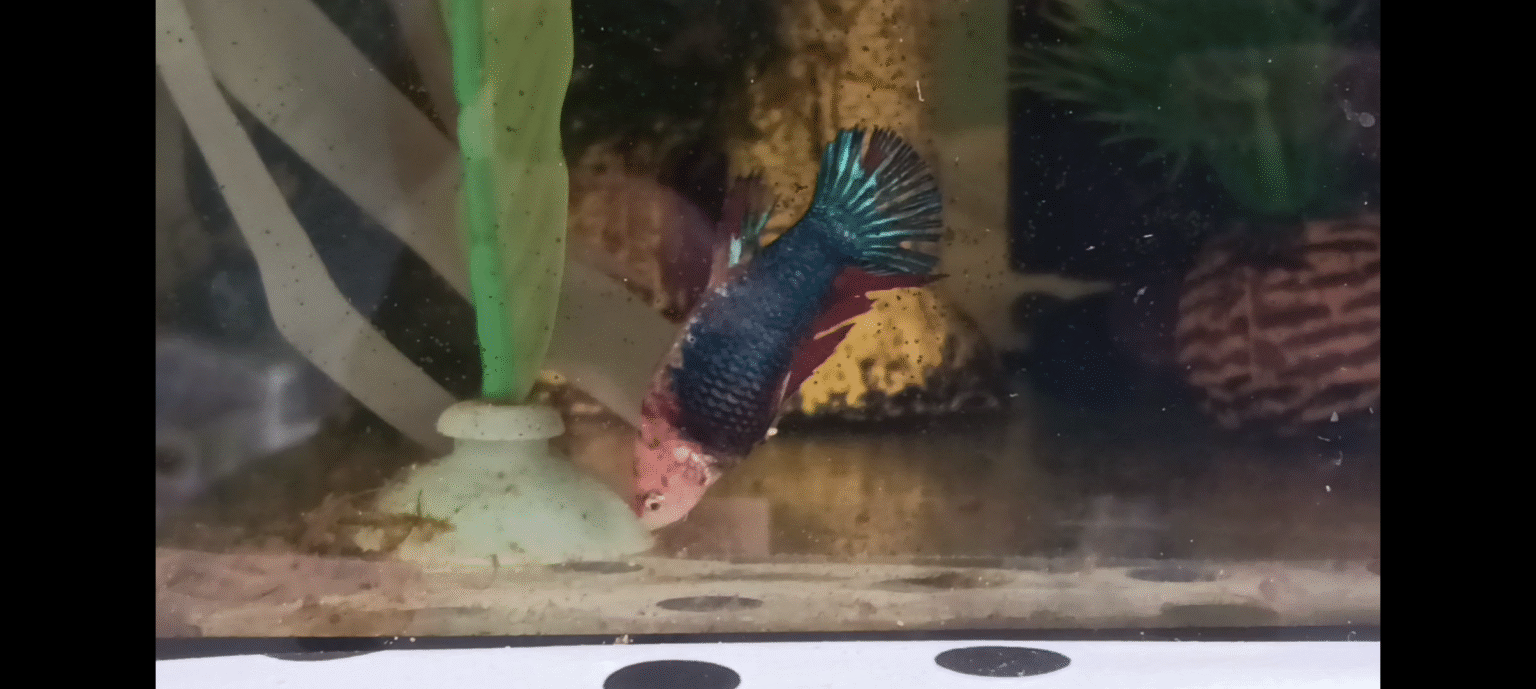 screenshot 20251106 200305