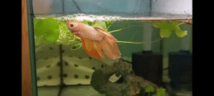 screenshot 20251106 203134